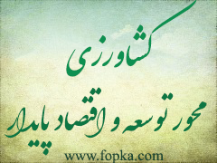 کشاورزی